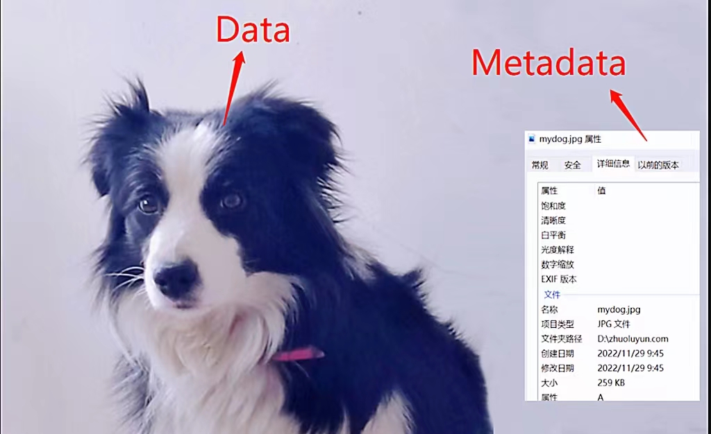 metadata.jpg